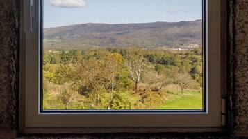 Ferienhaus, Terrasse | Bügeleisen/Bügelbrett, kostenloses WLAN