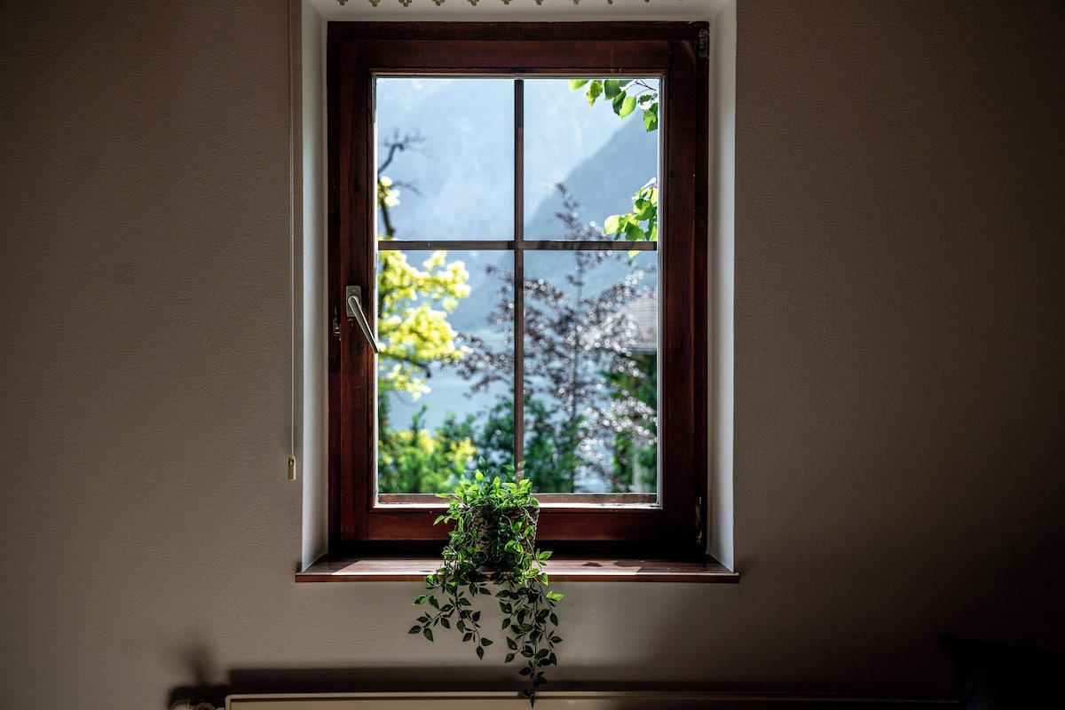 Classic Apartment, Partial Lake View | Free WiFi