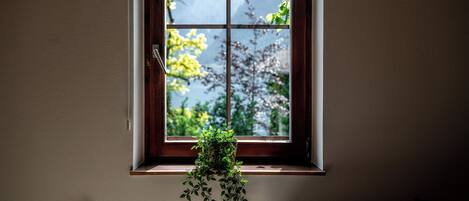 Una ventana con marco de madera y una planta colgante.