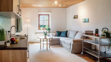 Classic Apartment, Partial Lake View | Living area | Toys