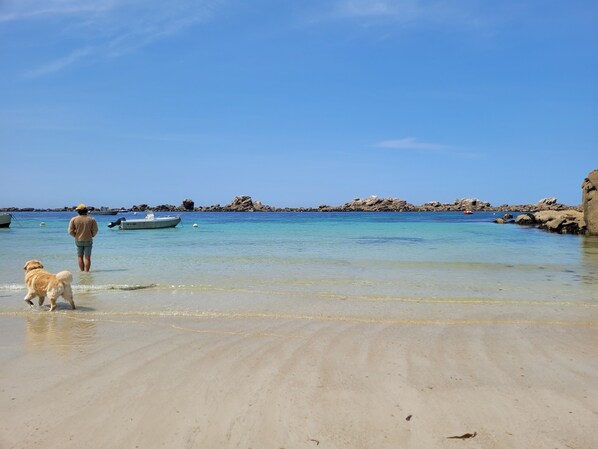 On the beach, sun-loungers - Exceptional sea view (Plouescat)