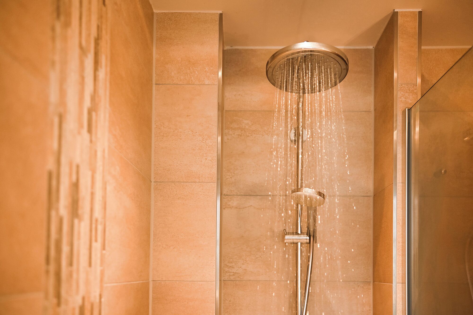 Shower, hair dryer