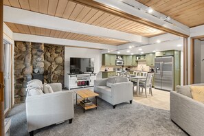 Télévision, cheminée, chaîne hi-fi