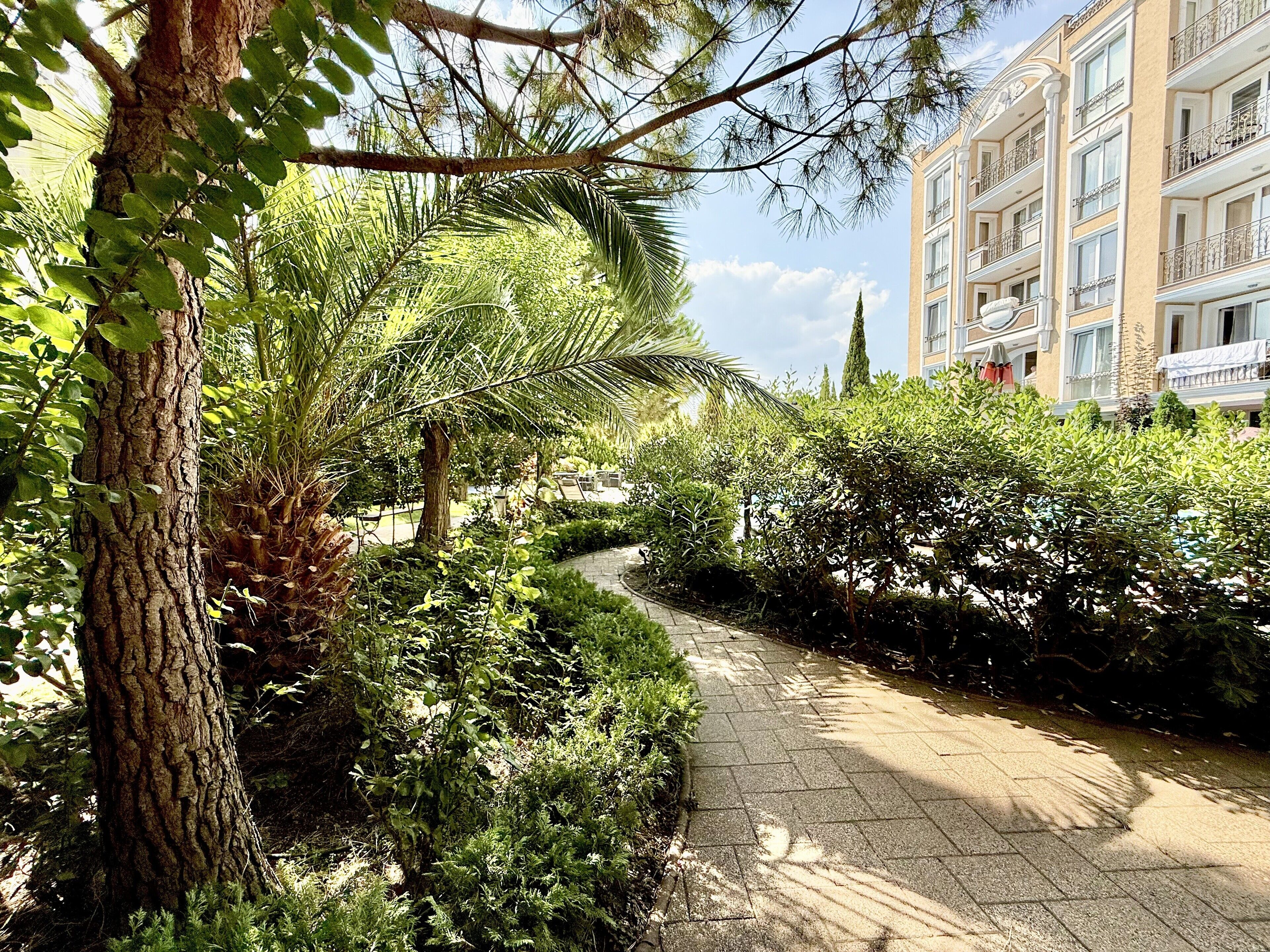 Jardin