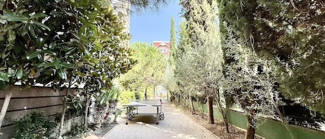 Jardin