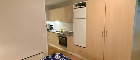 A compact room with a bed, a kitchenette, and a wardrobe.