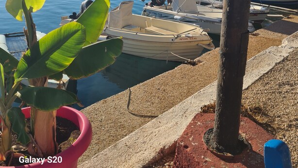 Un port de plaisance avec des bateaux amarrés, un ciel dégagé et des montagnes à l’horizon.