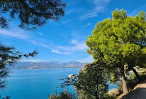 A coastal landscape with a clear view of the sea, a tree, and distant mountains.