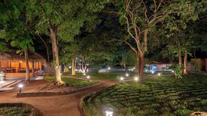 Vue nocturne d’un jardin aménagé, avec des allées, des arbres et un bâtiment dont le toit est recouvert de chaume.