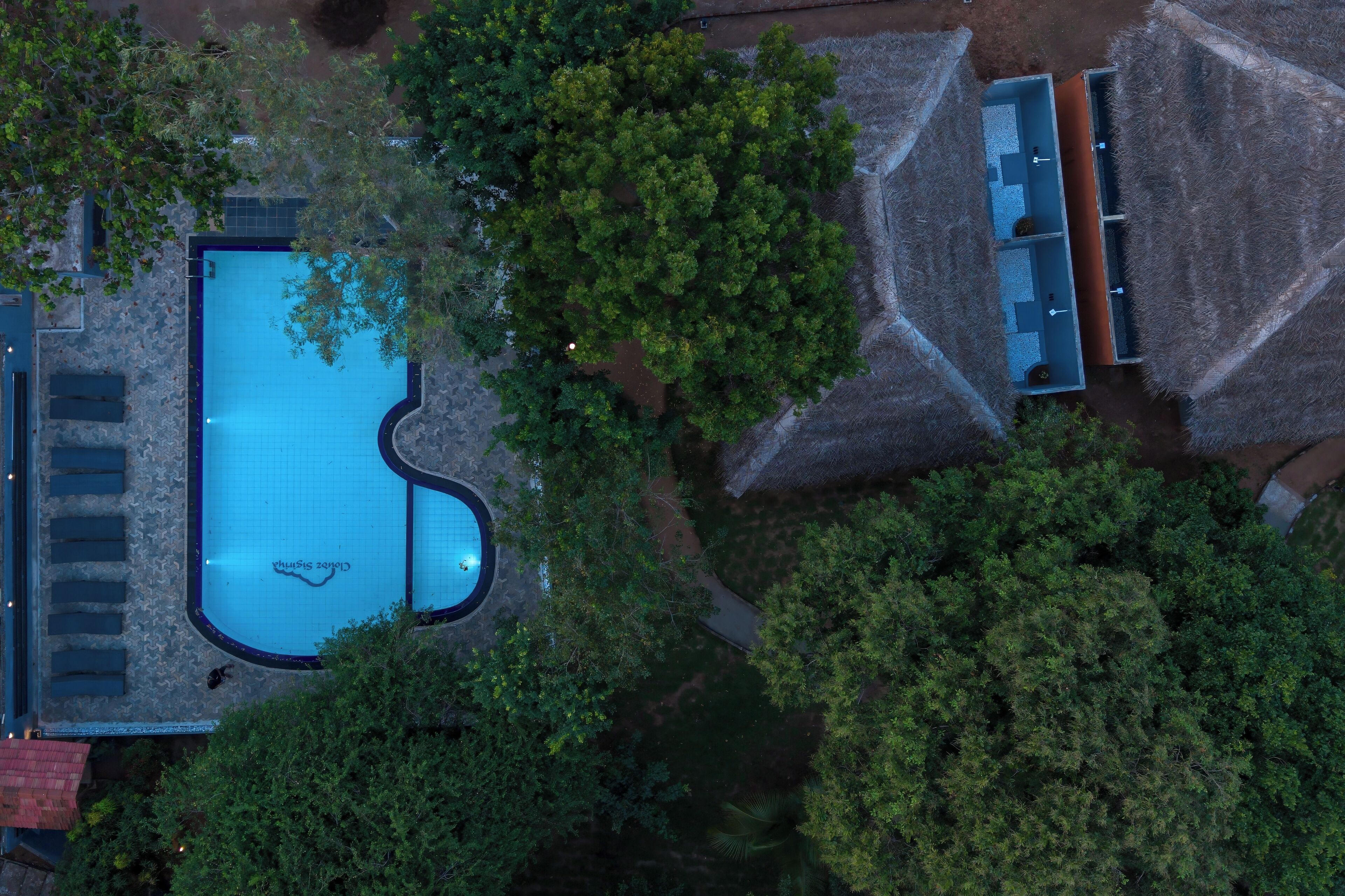 Vue aérienne d’une piscine entourée d’arbres et bordée de constructions abritées.