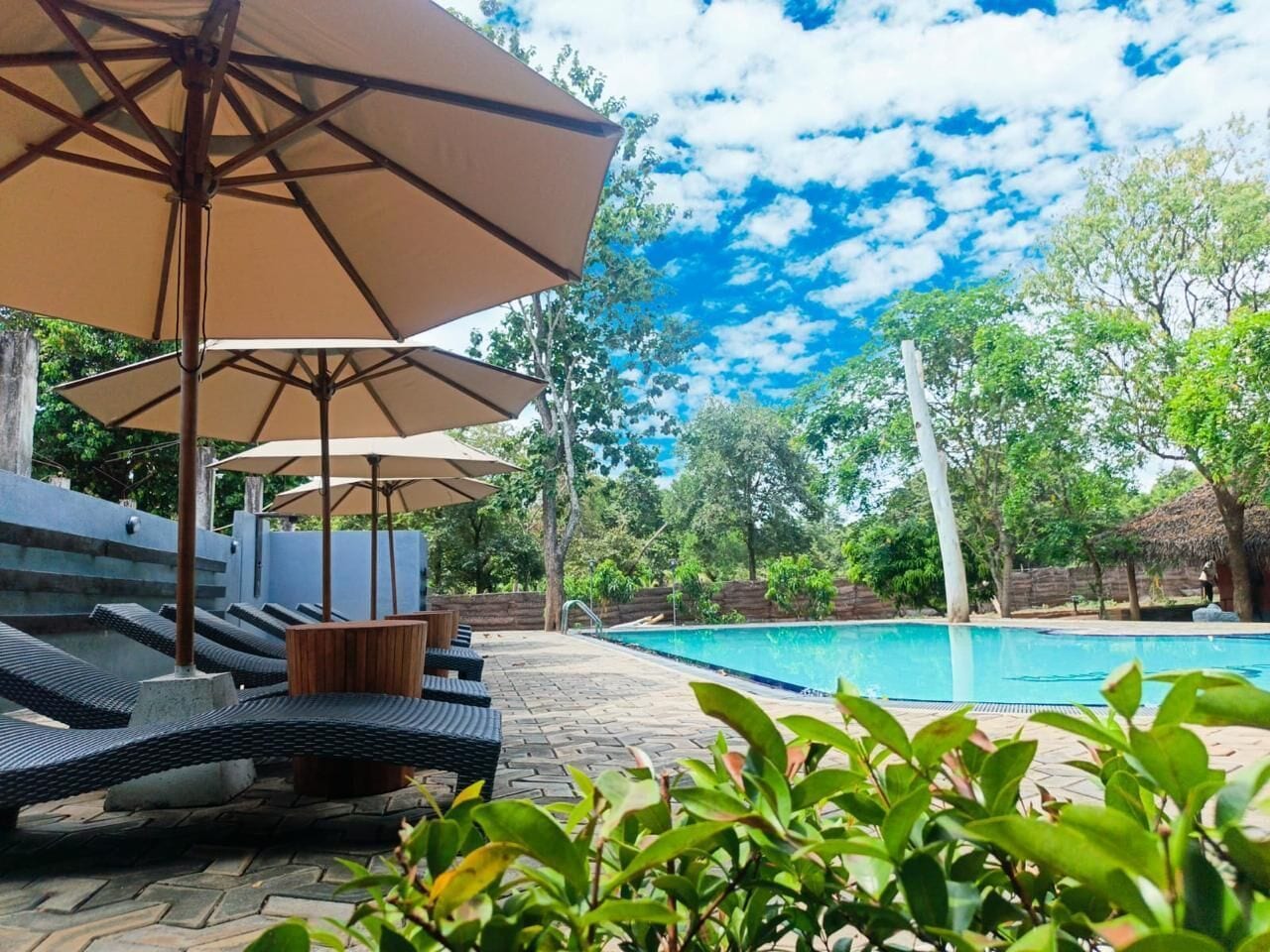 A pool area with lounge chairs and umbrellas, surrounded by greenery.