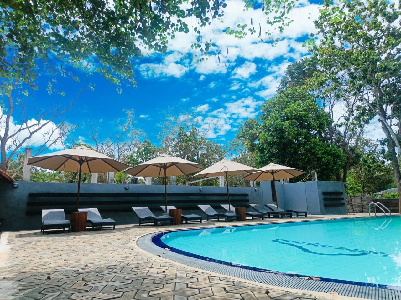 A swimming pool with lounge chairs and umbrellas, surrounded by trees and a clear sky.