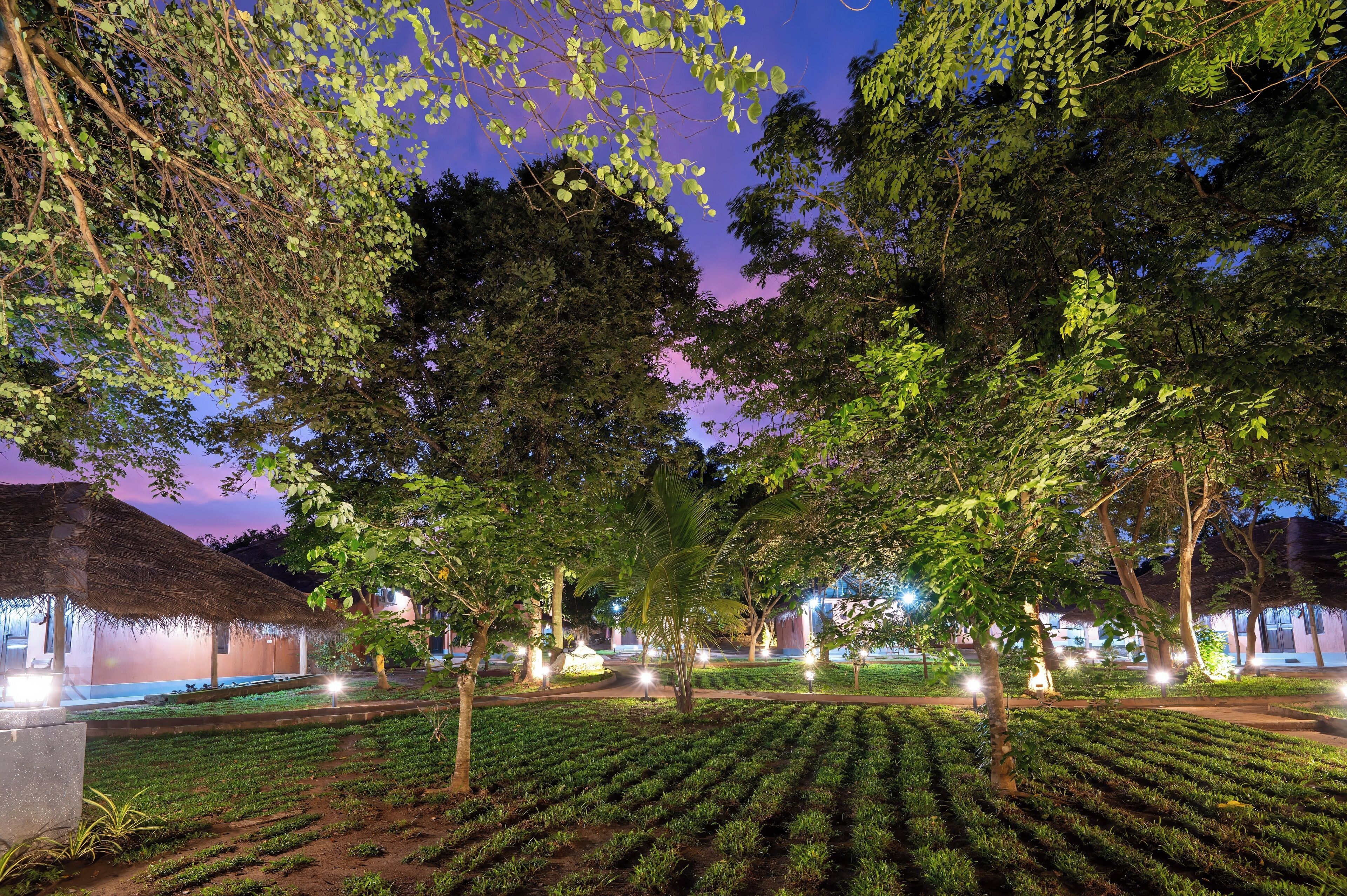 A well-lit outdoor area with neatly arranged rows of plants, trees, and a thatched-roof building, suggesting a serene garden setting.