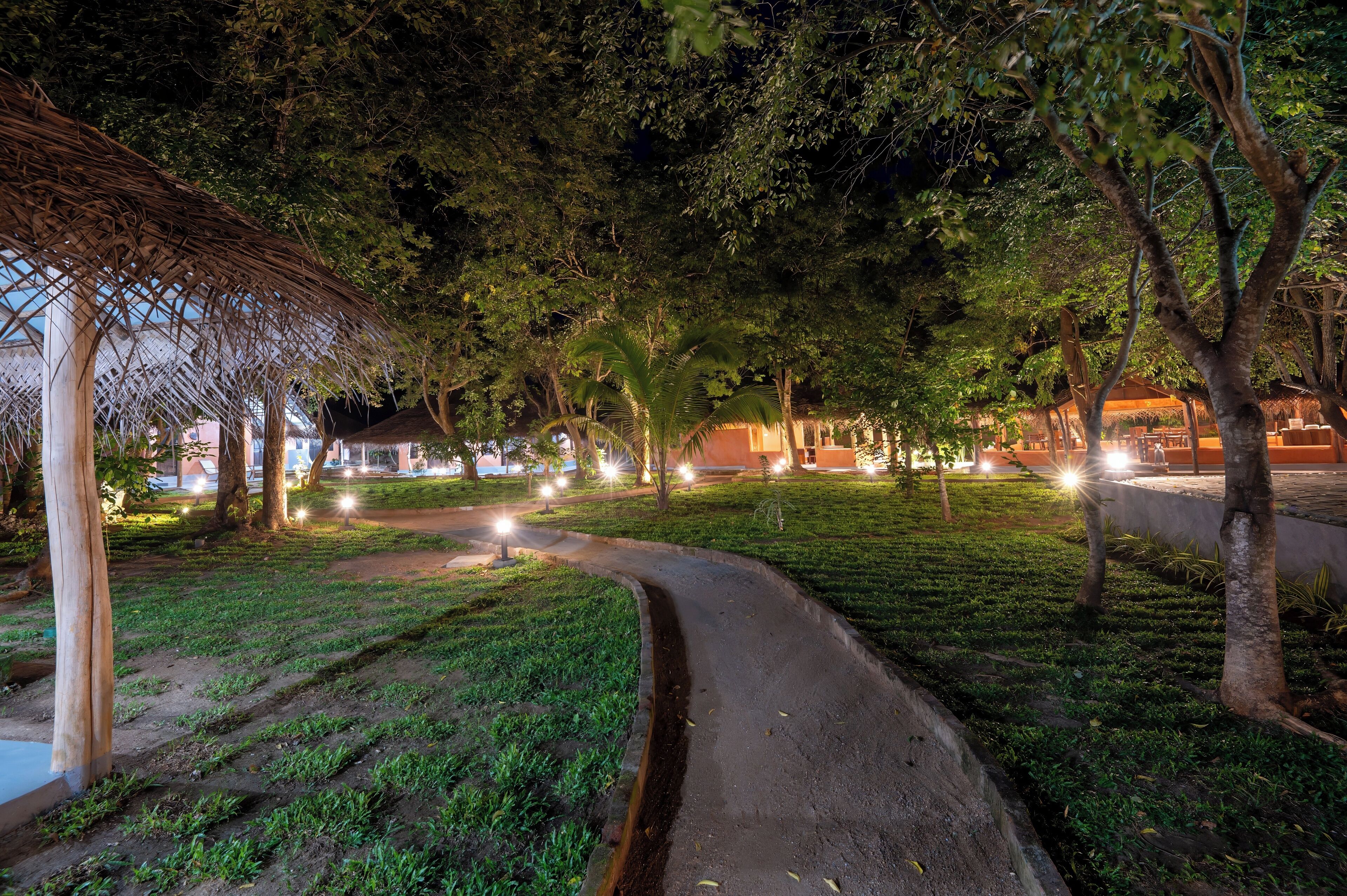 A nighttime park with a paved path, trees, and illuminated lights.