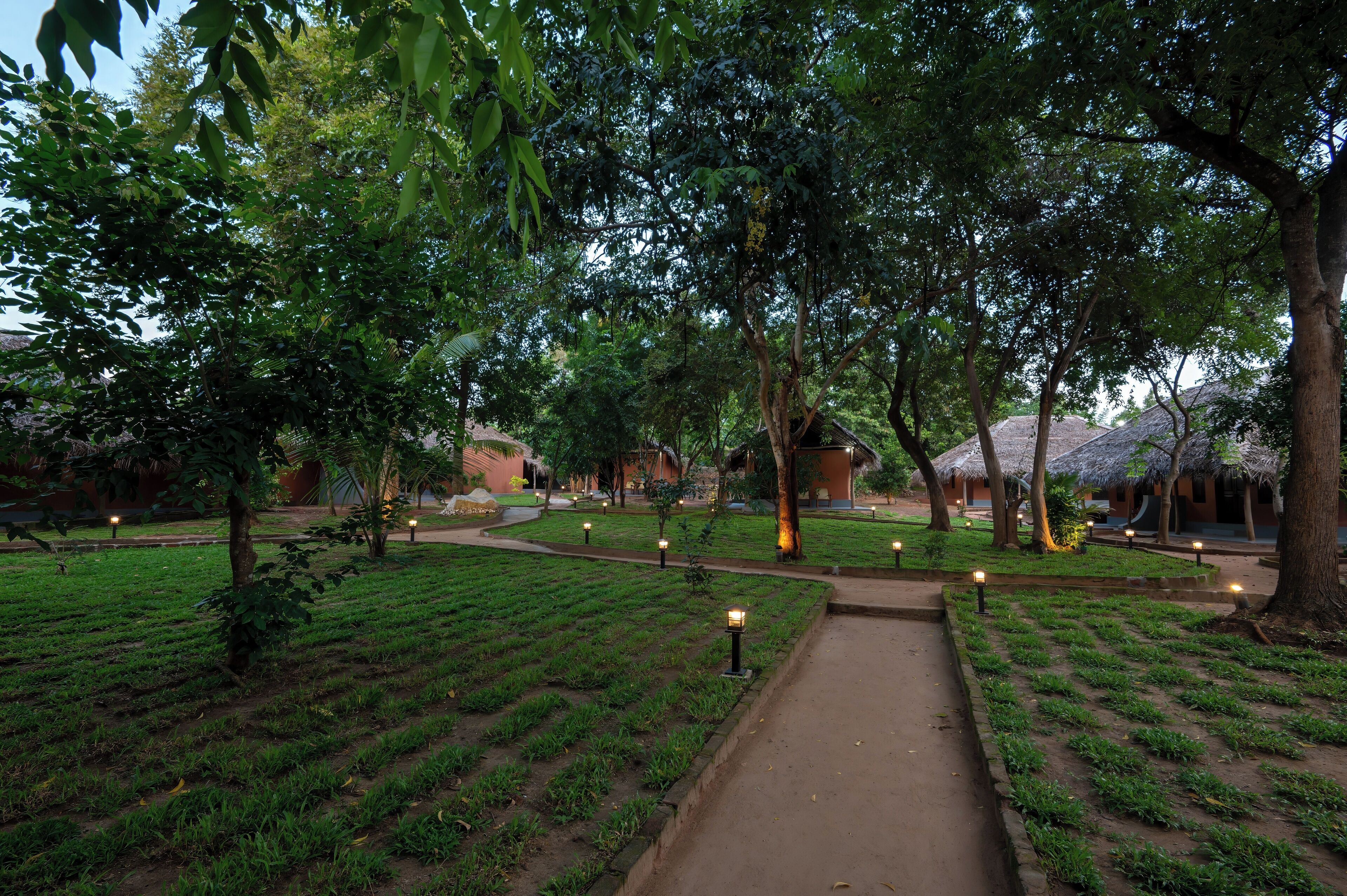 A garden pathway leading to a building with thatched roofs, surrounded by lush greenery and evenly spaced lights.