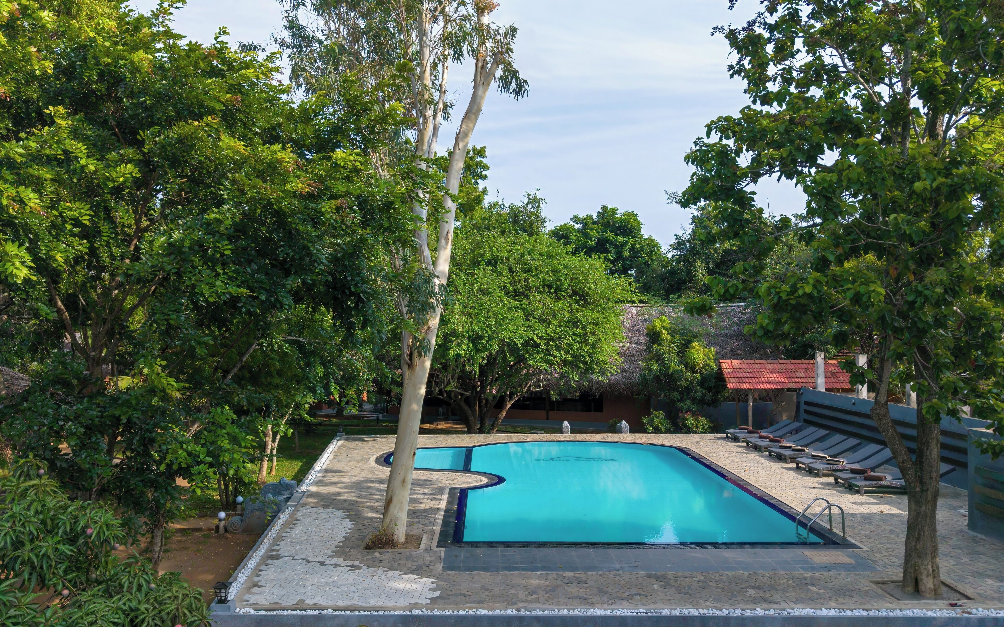 A swimming pool surrounded by trees and a few lounge chairs.