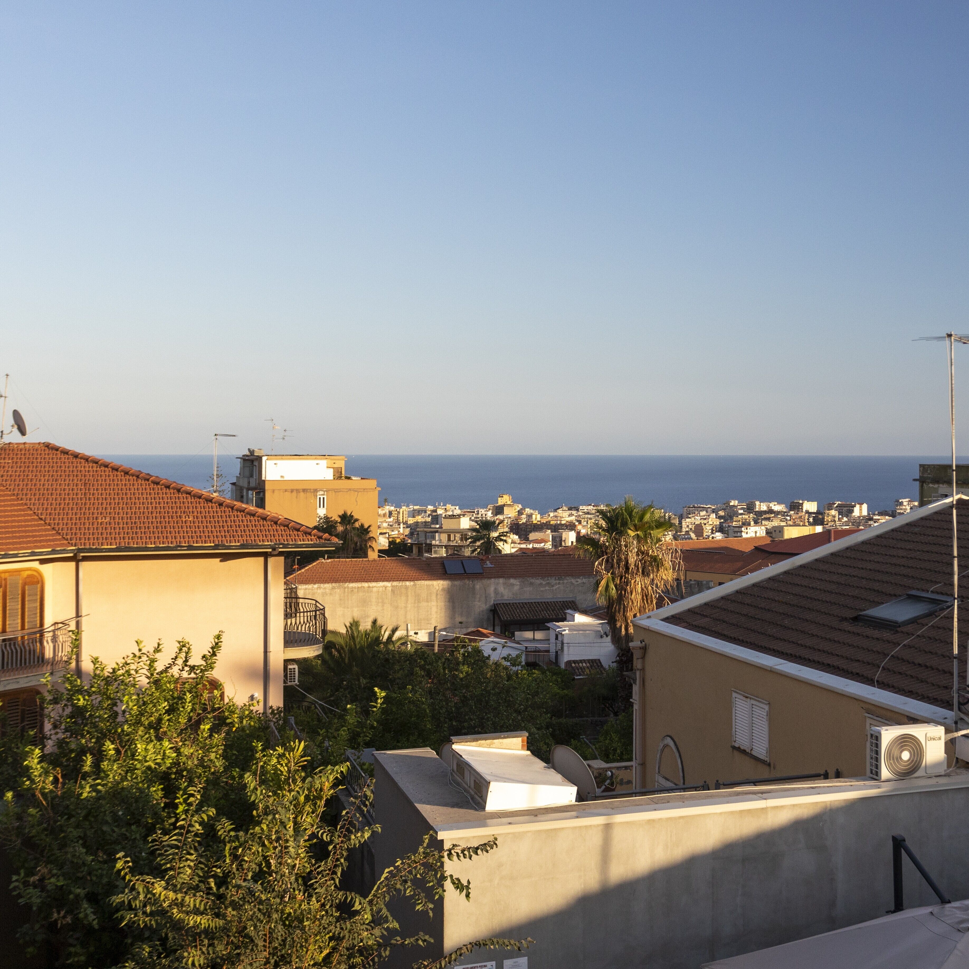 A residential area with buildings, a palm tree, and a view of the sea.