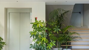 Ein modernes Interieur mit Treppe, Blumentöpfen und einer Tür.