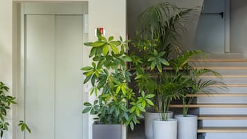 Apartment, 1 Bedroom, Balcony | Interior