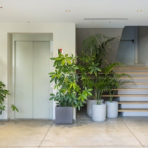 Departamento, 1 habitación, balcón | Interior