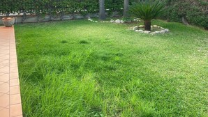 A well-maintained grassy area with palm trees, a hedge, and a building in the background. - Frank's House, a villa surrounded by greenery with a private pool (Piana Calzata)