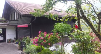 Charming chalet flat with a view