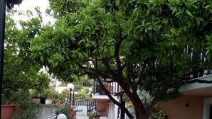Un sendero empedrado bordeado de plantas en macetas y un árbol en el centro.