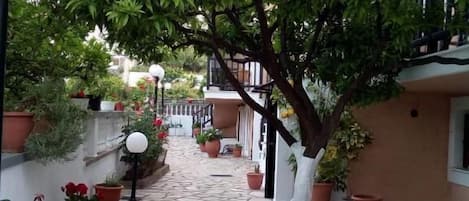 Un sentier pavé de pierres, bordé de plantes en pot, avec un arbre au centre.