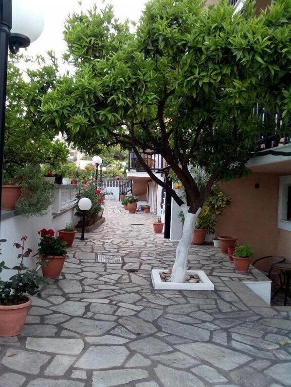 A stone-paved pathway lined with potted plants and a tree in the center. - Sofia's Garden by Booking Kottas (Skopelos)