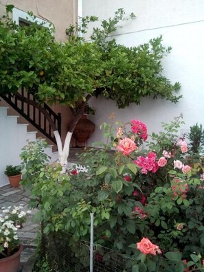 Exterior - Sofia's Garden by Booking Kottas (Skopelos)