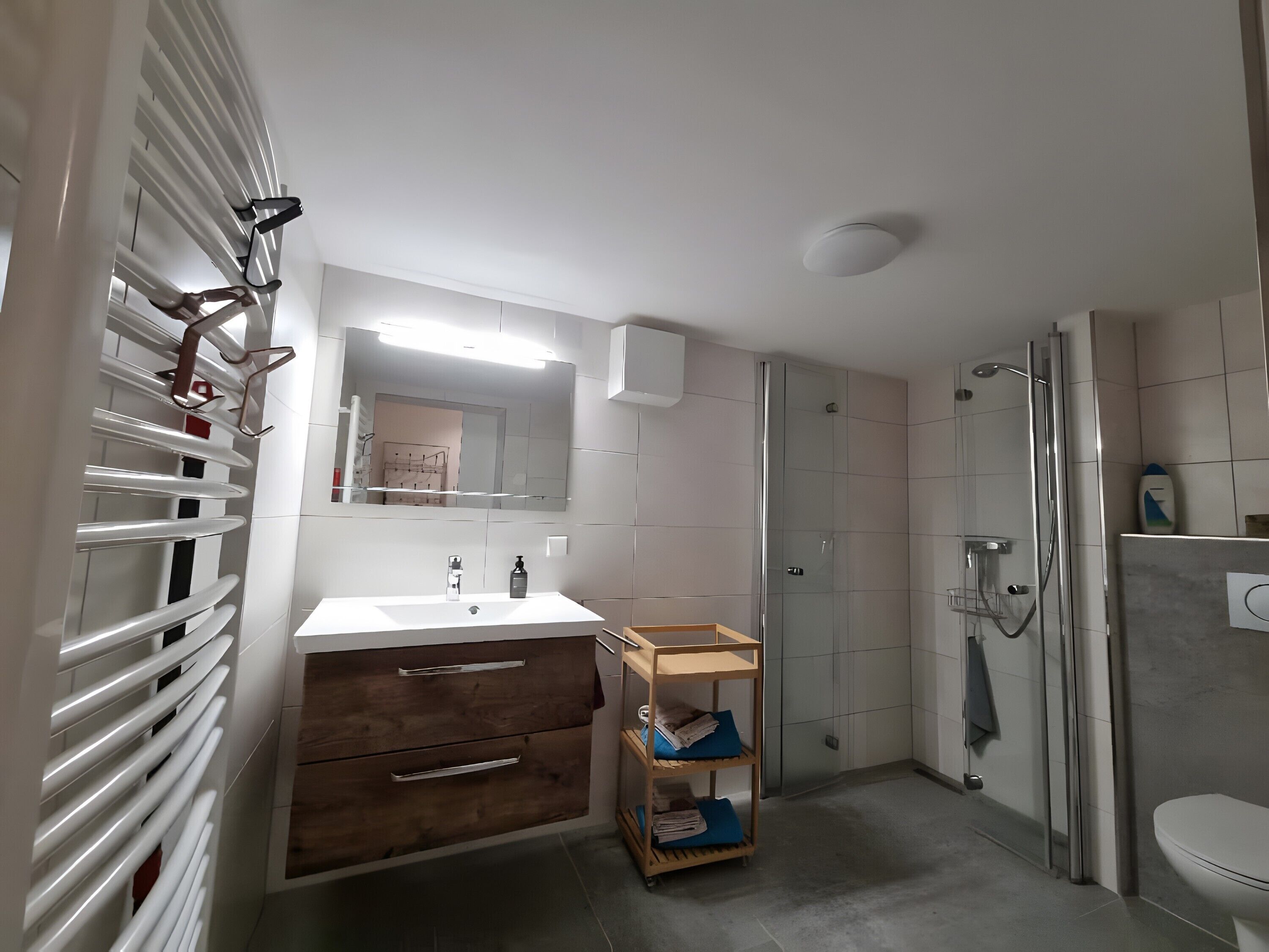 Dusche, Haartrockner, Handtücher