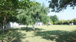 A grassy outdoor area with trees and a building in the background. - Skyye Nature Resort (Malakhera)