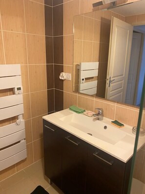 Bathroom - Former Farm in the Loire Gorges—classified as a 3-star vacation rental (Vorey)