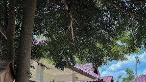 A building with a covered walkway, surrounded by trees and greenery. - A-Thip House (Pai)