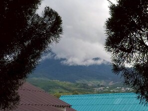 Deluxe House, Garden View | Meja, langsir/tirai gelap terus, kalis bunyi, Wi-fi percuma 