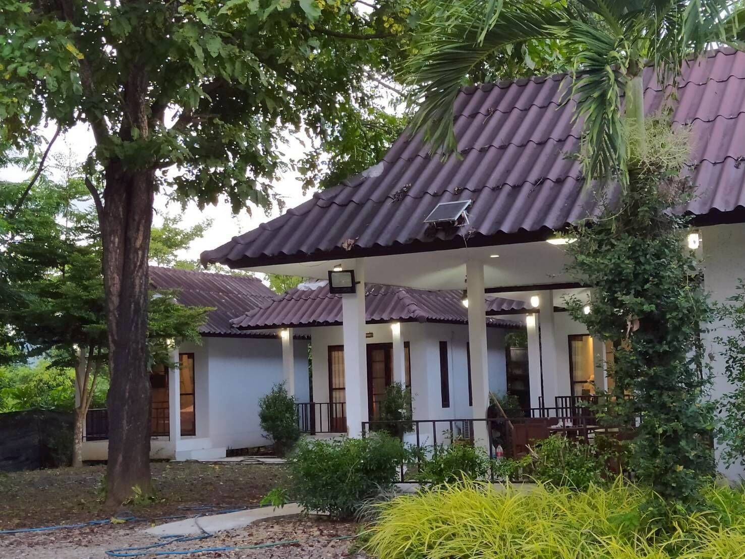 Casa Deluxe, vista al jardín | Interior