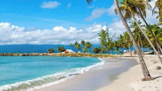 A beach with clear turquoise water, palm trees, and a rocky breakwater. - Bright, quiet loft within walking distance - Exceptional location (Le Gosier)