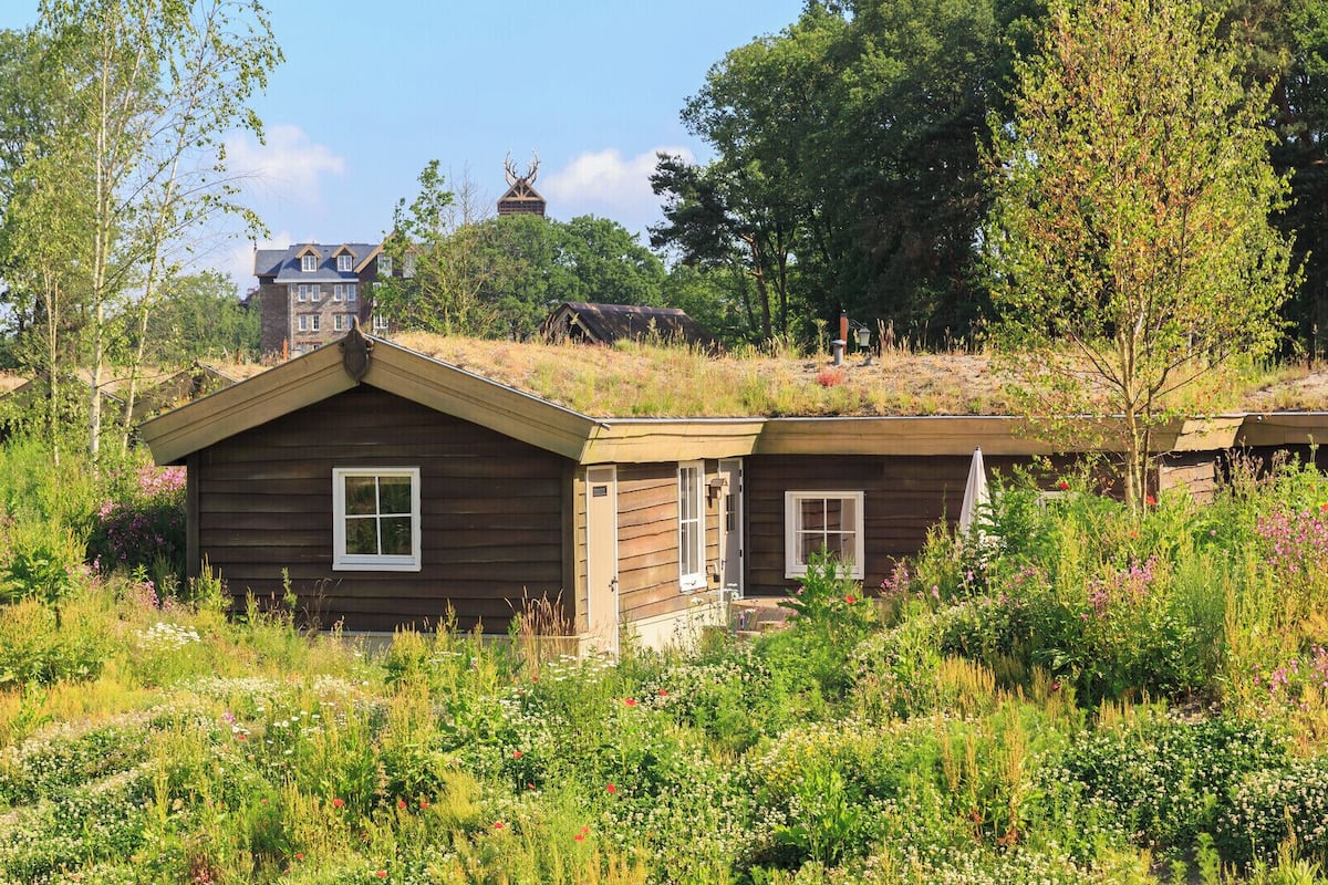 Comfort Quadruple Room | Living area