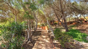 A paved pathway leading through a garden with trees and a brick building in the background.