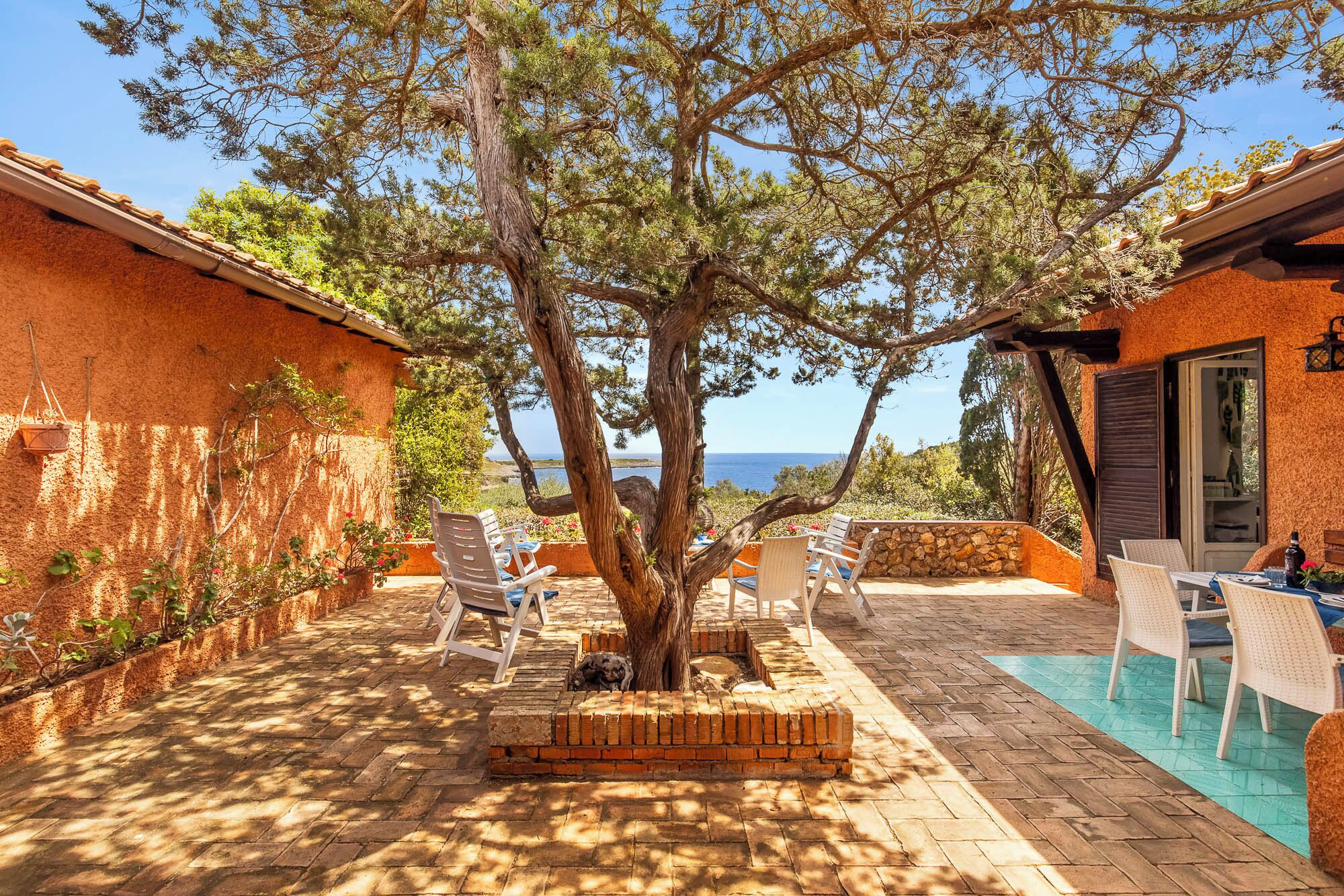 テラス / パティオ