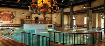 Efteling Bosrijk - Theme Park tickets included