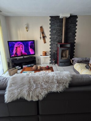 Télévision, cheminée, lecteur de DVD, chaßne hi-fi