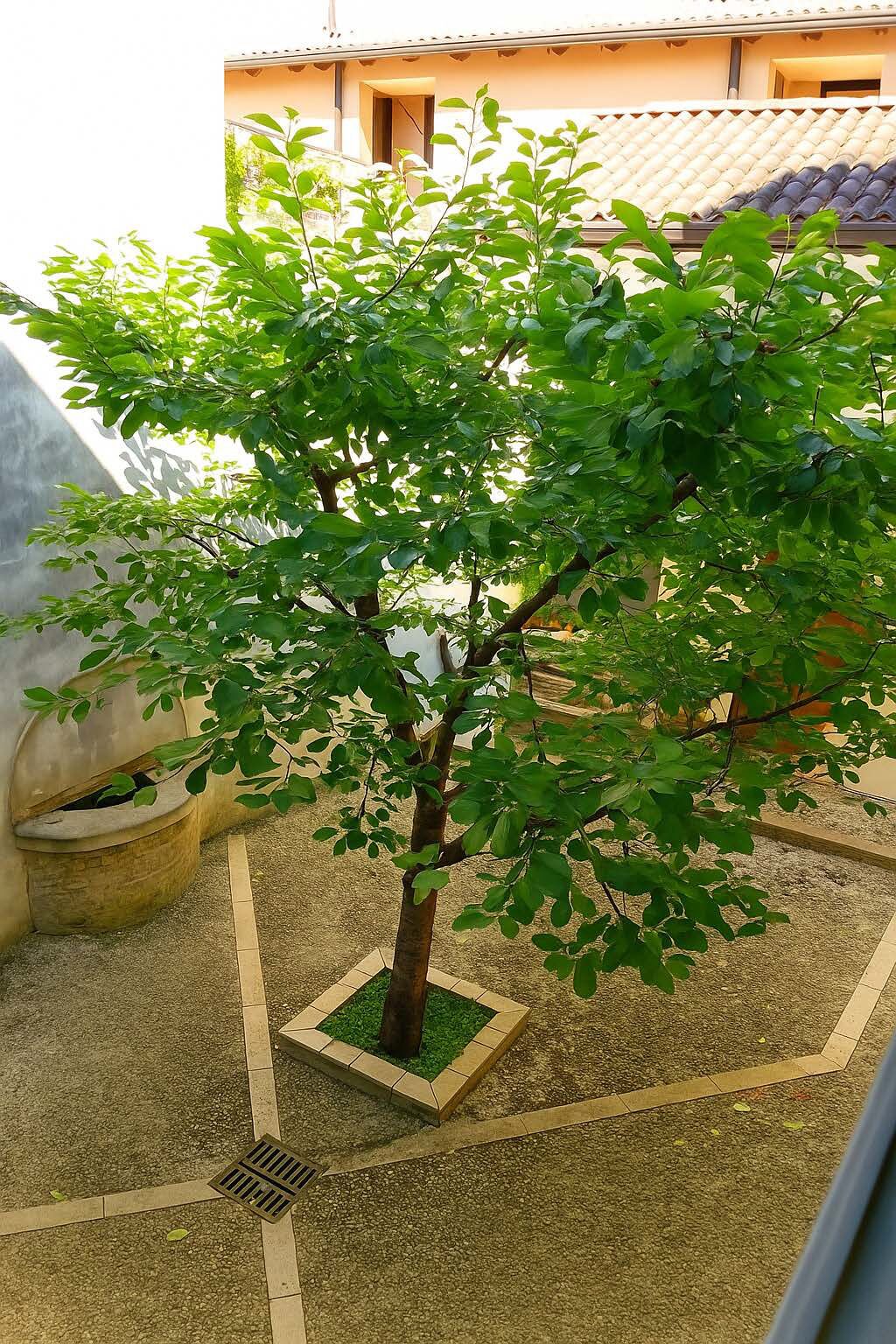 Enceinte de l’hébergement