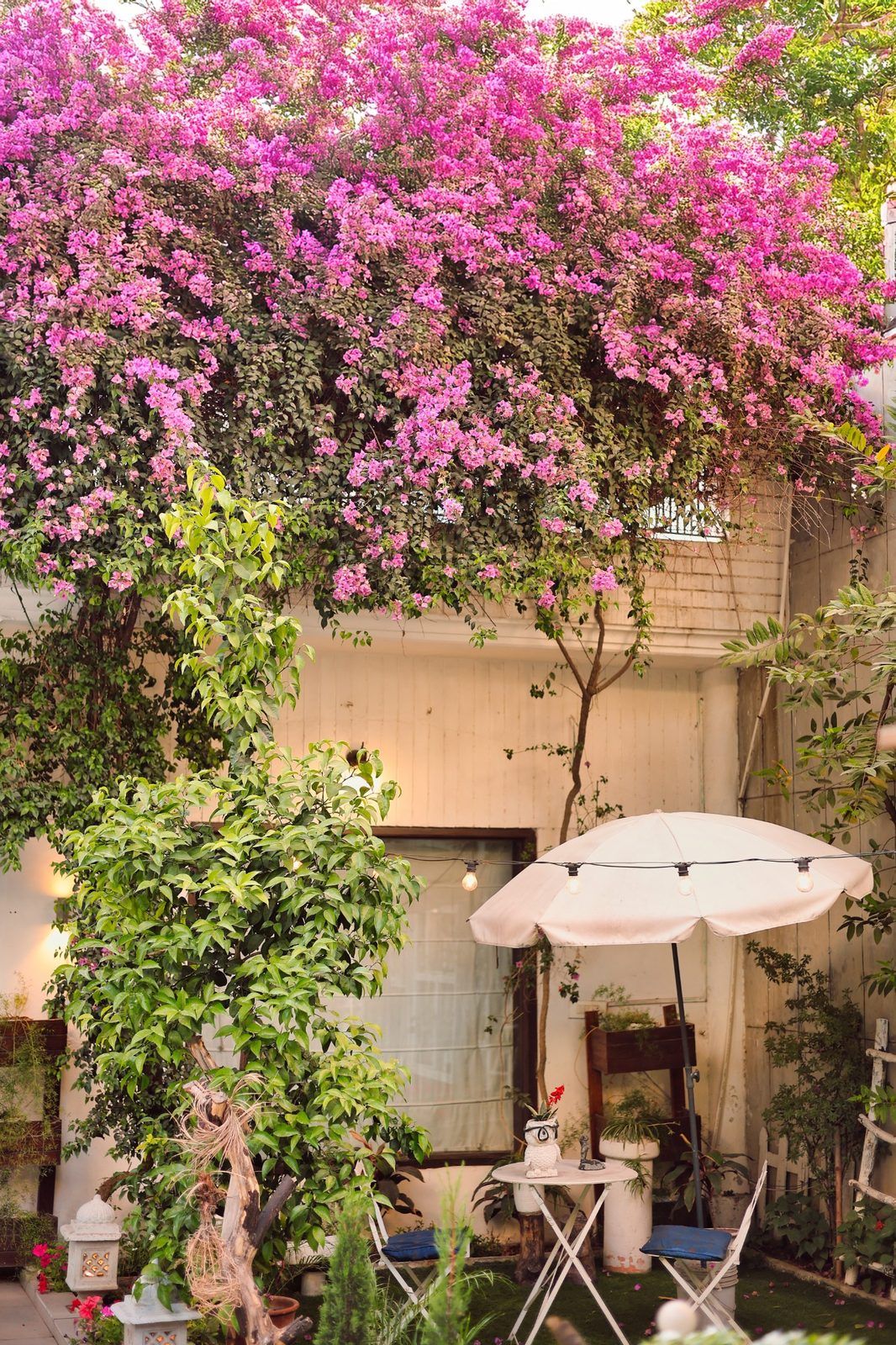 Un jardín con una mesa y sillas bajo un paraguas blanco, rodeado de abundante follaje y plantas en flor.