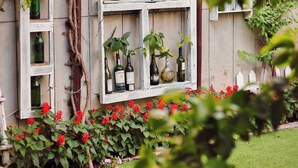 Un entorno rústico al aire libre con un estante de madera que exhibe botellas y plantas, rodeado de follaje y una cerca de piquetes blancos.