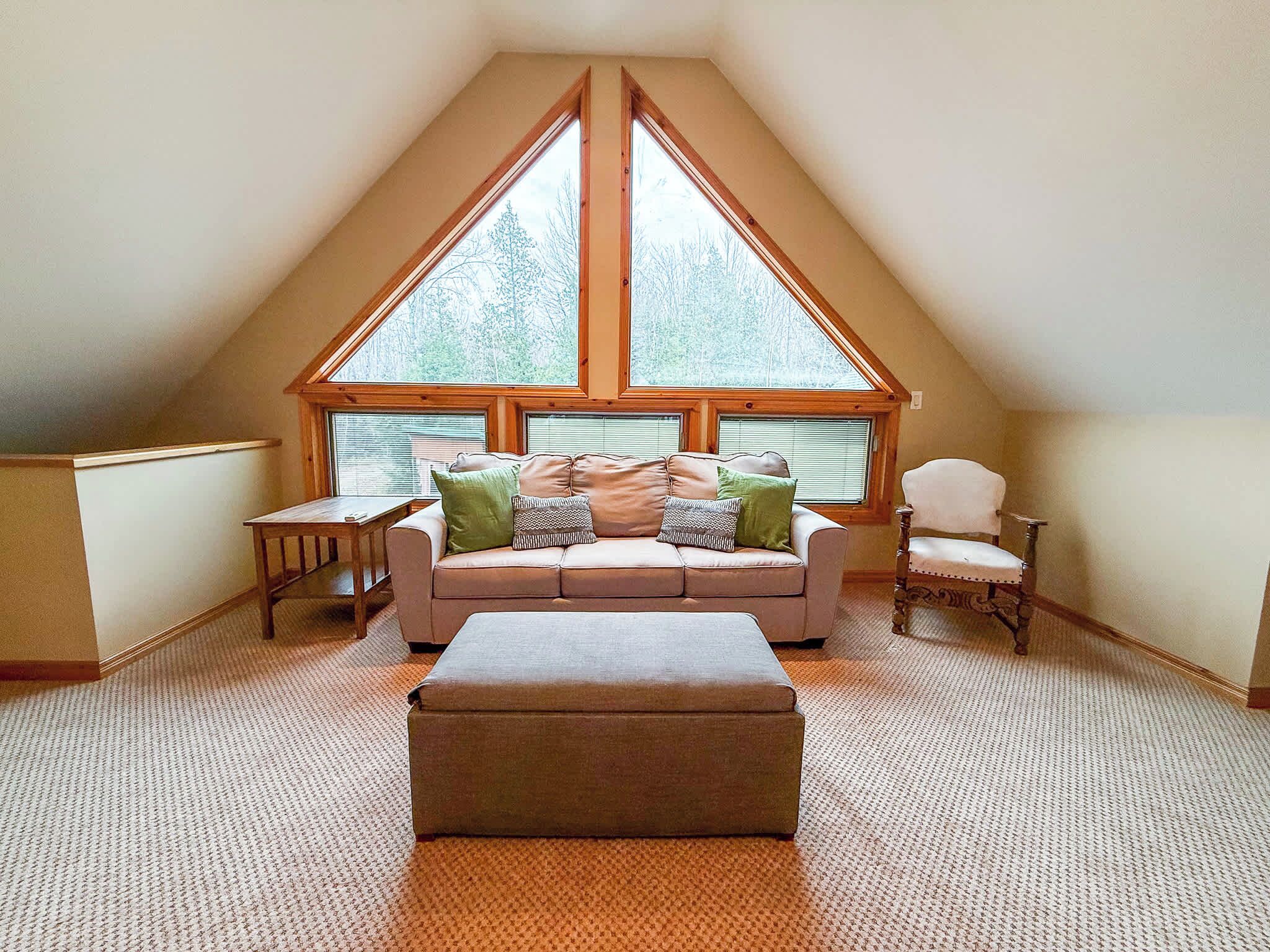 TV, fireplace, DVD player, books