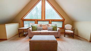 TV, fireplace, DVD player, books