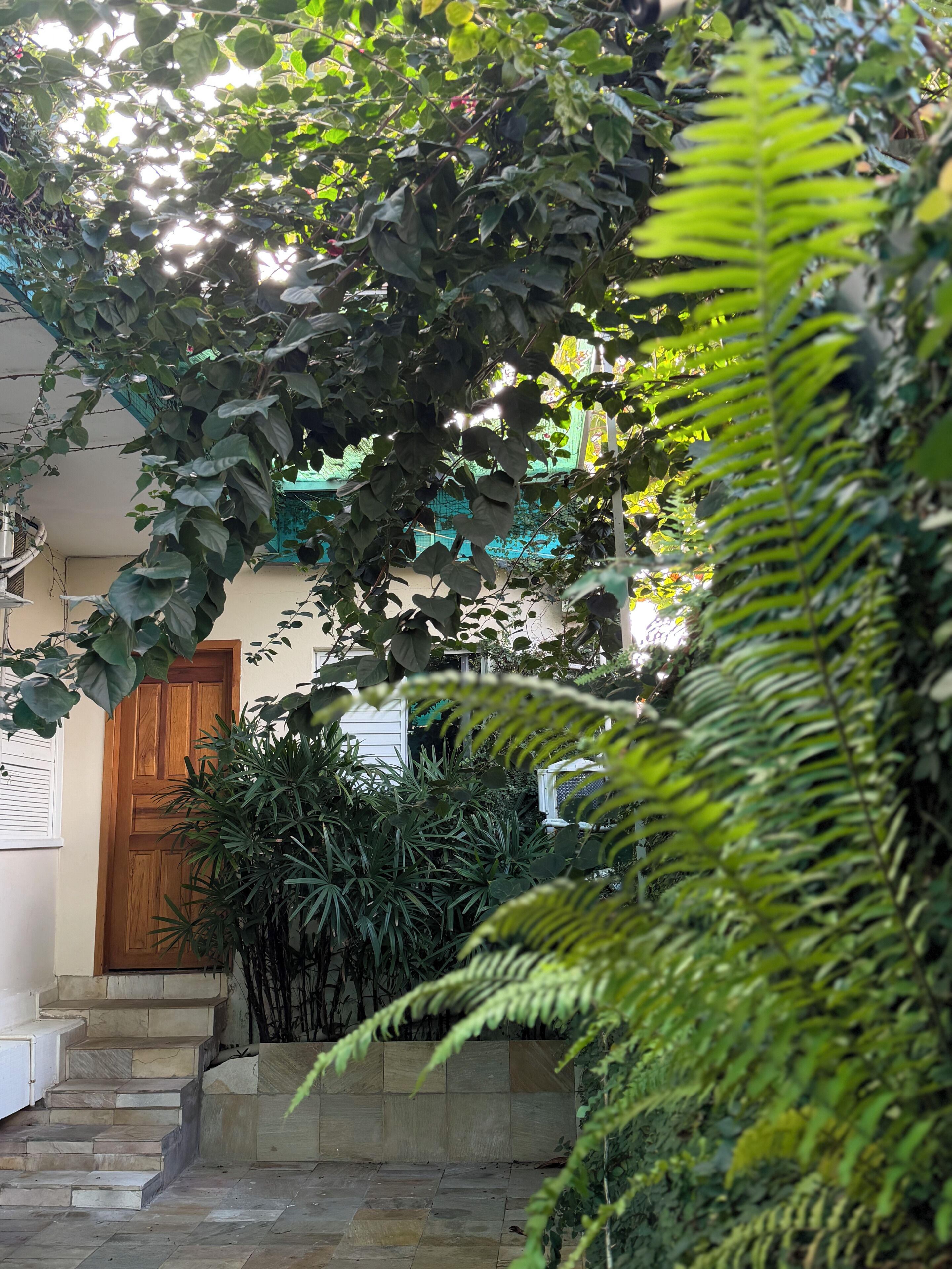A stone staircase leading to a wooden door, surrounded by lush greenery and a white fence.