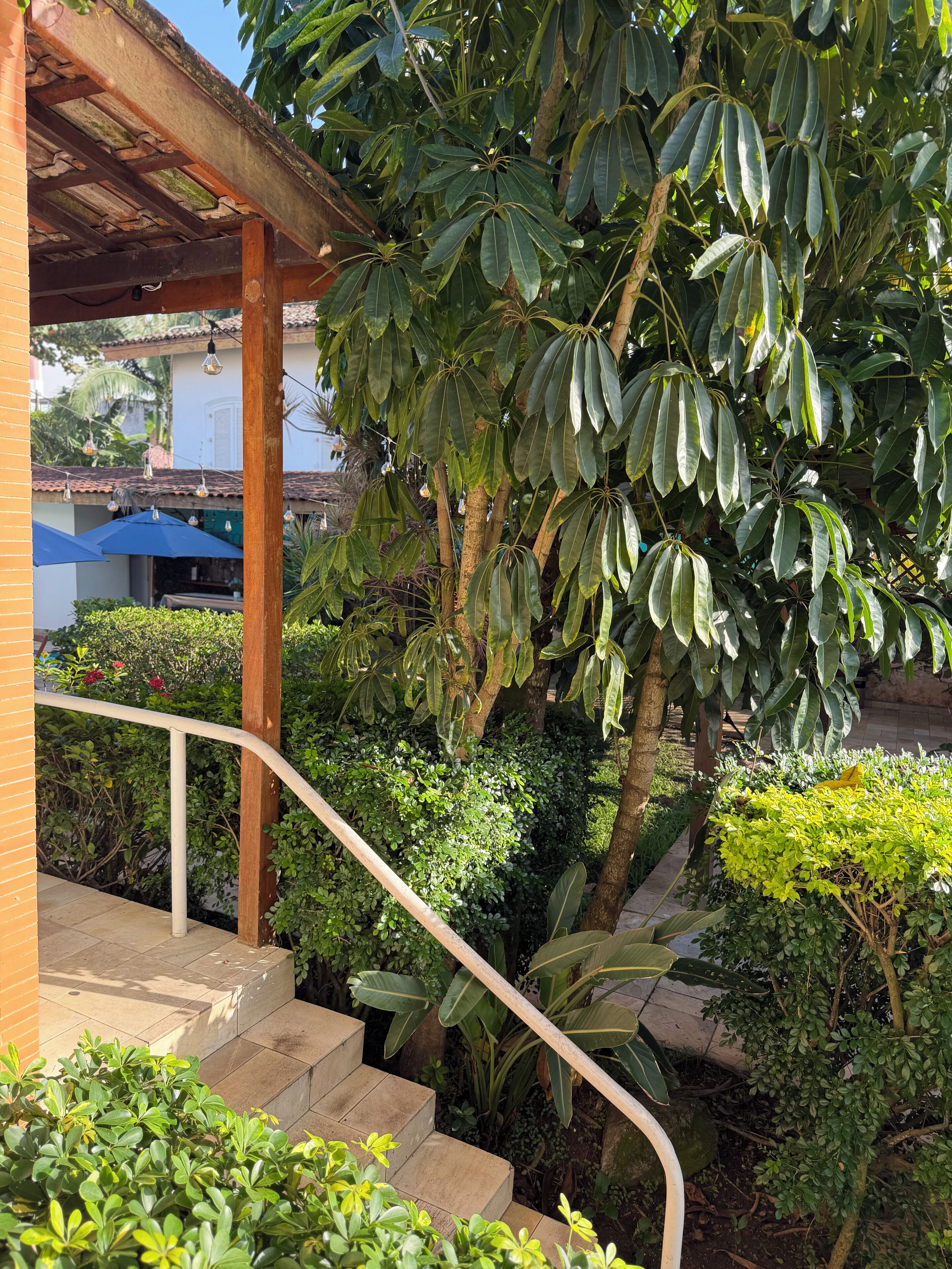 Un espacio al aire libre techado con una pérgola de madera, una escalera y abundante vegetación.