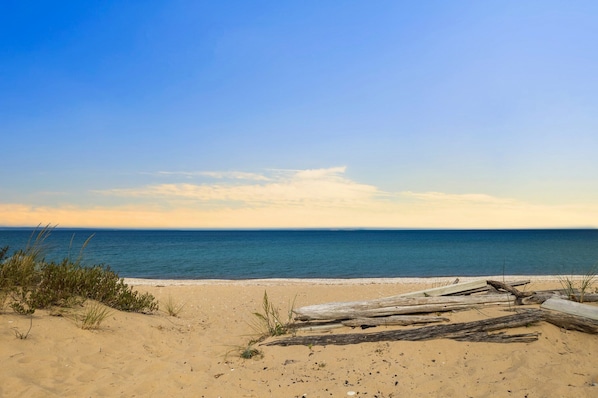A beach with sand, sea, and scattered driftwood.